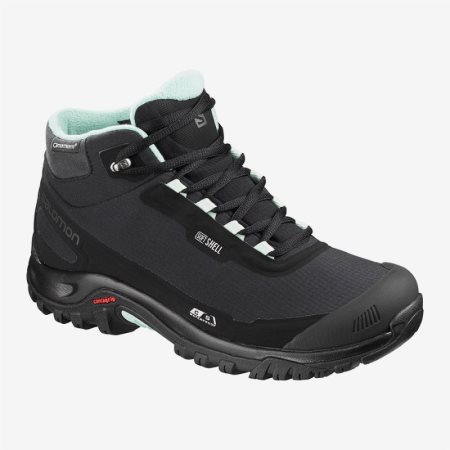 Salomon SHELTER CS WP W Svart Tursko Dame [NO 6-EUA]